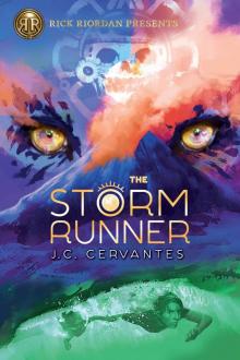 The Storm Runner The Storm Runner