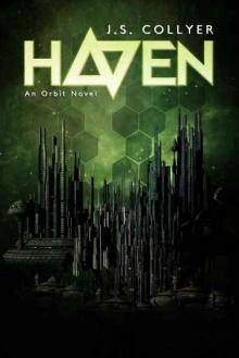 Haven (The Orbit Series Book 2) Haven (The Orbit Series Book 2)