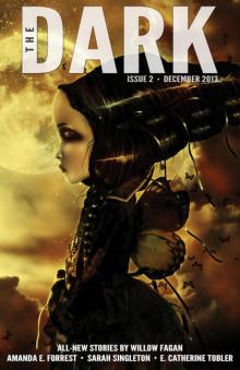 The Dark Issue 2