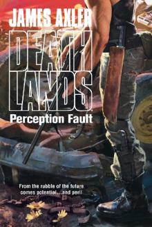 Perception Fault Perception Fault