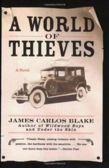 A World of Thieves A World of Thieves