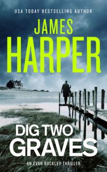Dig Two Graves: An Evan Buckley Crime Thriller