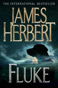 Fluke Fluke