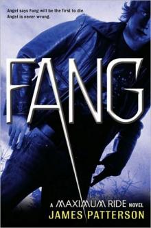 Fang Fang