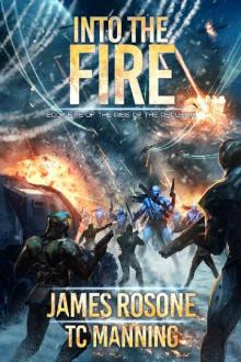 Into the Fire (Rise of the Republic Book 5)