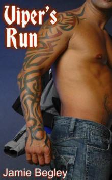 Viper's Run Viper's Run