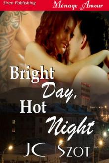 Bright Day, Hot Night [Sequel to Dark Day, Bright Night] (Siren Publishing Ménage Amour)