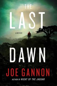 The Last Dawn: A Mystery The Last Dawn: A Mystery