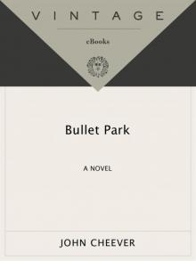 Bullet Park