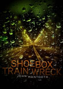 The Shoebox Trainwreck The Shoebox Trainwreck