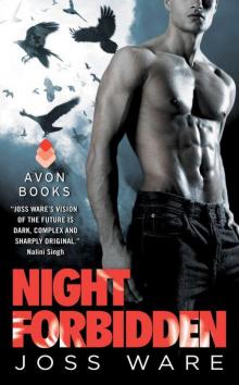 Night Forbidden