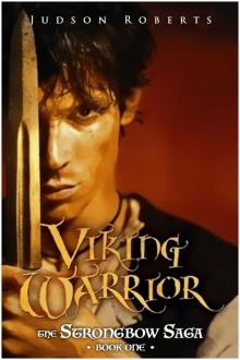 Viking Warrior Viking Warrior