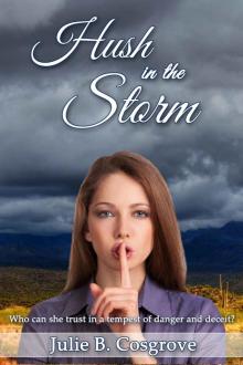 Hush in the Storm Hush in the Storm