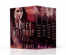 The Hailey Holloway Complete Series