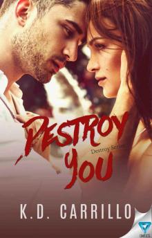 Destroy You (Destroy #3)