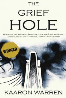 The Grief Hole The Grief Hole