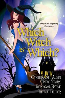 Which Witch is Which? (The Witches of Port Townsend)