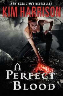 A Perfect Blood th-10 A Perfect Blood th-10