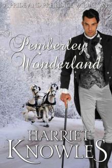 A Pemberley Wonderland