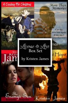 License to Love: Holiday Box Set (Contemporary Romance) License to Love: Holiday Box Set (Contemporary Romance)