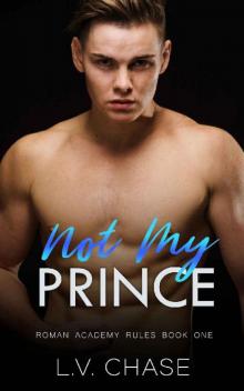 Not My Prince: A Dark Bully High School Romance