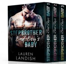 Stepbrother Bad Boy's Baby Boxed Set Stepbrother Bad Boy's Baby Boxed Set
