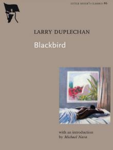 Blackbird Blackbird