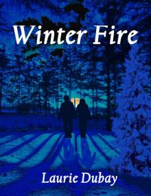 Winter Fire Winter Fire