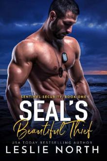 SEAL's Beautiful Thief (Sentinel Security Book 1)