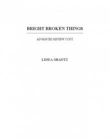 Bright, Broken Things