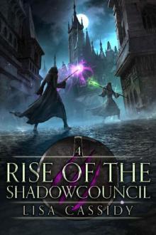 Rise of the Shadowcouncil (Heir to the Darkmage Book 4)