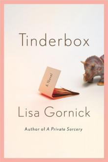 Tinderbox