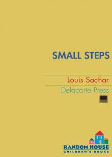 Small Steps Small Steps