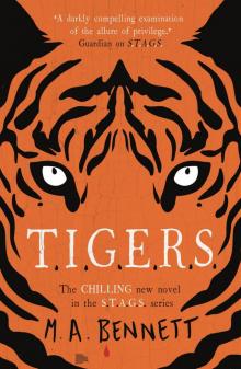Tigers Tigers