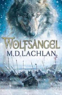 Wolfsangel c-1