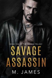 Savage Assassin: A Dark Mafia Romance (The Savage Trilogy Book 1)