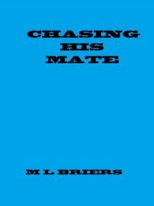 Chasing His Mate Chasing His Mate