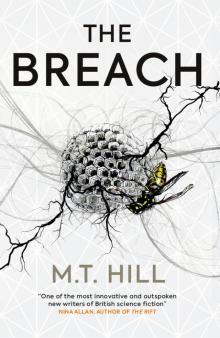The Breach The Breach