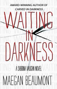 Waiting In Darkness: A Sabrina Vaughn Thriller (The Sabrina Vaughn Series Book 1)