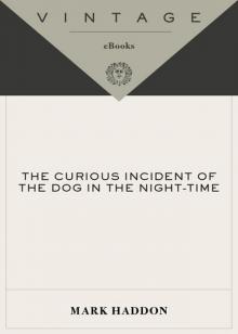 The Curious Incident of the Dog in the Night-Time