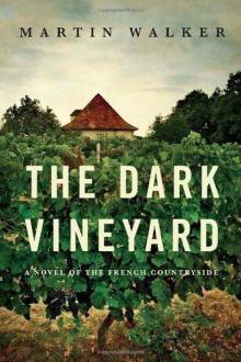 The dark vineyard b,op-2