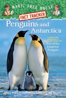 Penguins and Antarctica