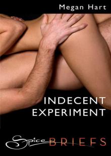 Indecent Experiment Indecent Experiment