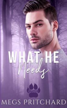 What He Needs (Salutem Book 1) What He Needs (Salutem Book 1)