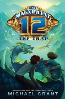The Trap The Trap