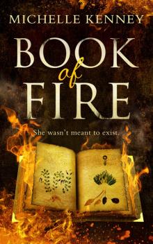 Book of Fire Book of Fire