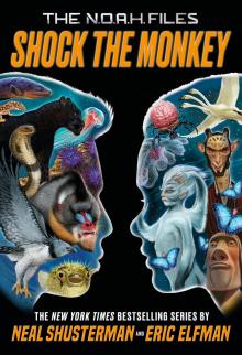 Shock the Monkey Shock the Monkey