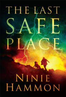 The Last Safe Place The Last Safe Place