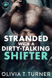 Stranded With A Dirty-Talking Shifter