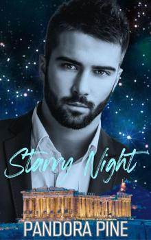 Starry Night Starry Night